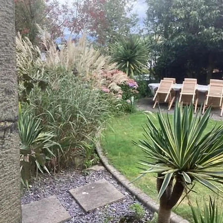 Brynffynnon Boutique Bed And Breakfast-2